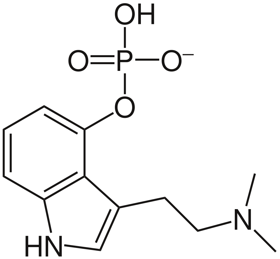 Wzór strukturalny psylocybiny. Źródło: Wikimedia Commons.